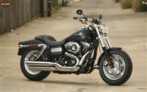 Harley Davidson